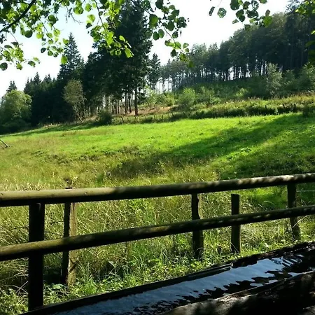 1 Bedroom Tatil Evi Willingen (Upland)